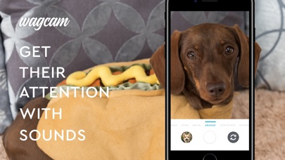 Wagcam screenshot 3