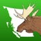 Hunt Buddy BC is a better way to read the Hunting Regulations Synopsis for British Columbia, Canada