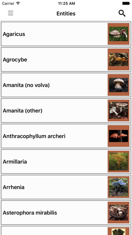 FunKey: Key to Agarics of Australia