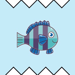 Runner Fish