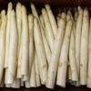 Spargel