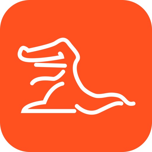 Gator Dash Cam iOS App