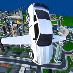 Flying car driving flight sim