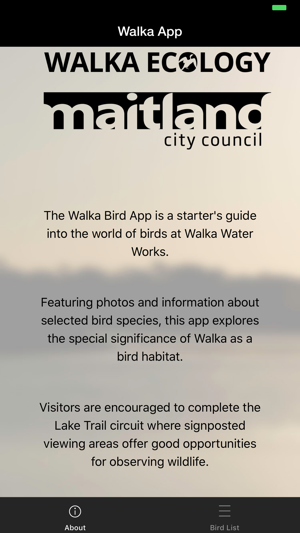 Walka Birds