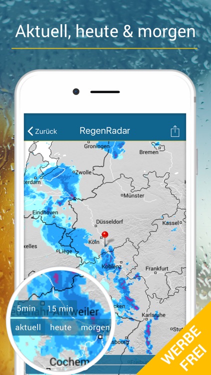 RegenRadar Pro
