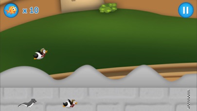 Penguin Racing: Slide and Fly screenshot 4