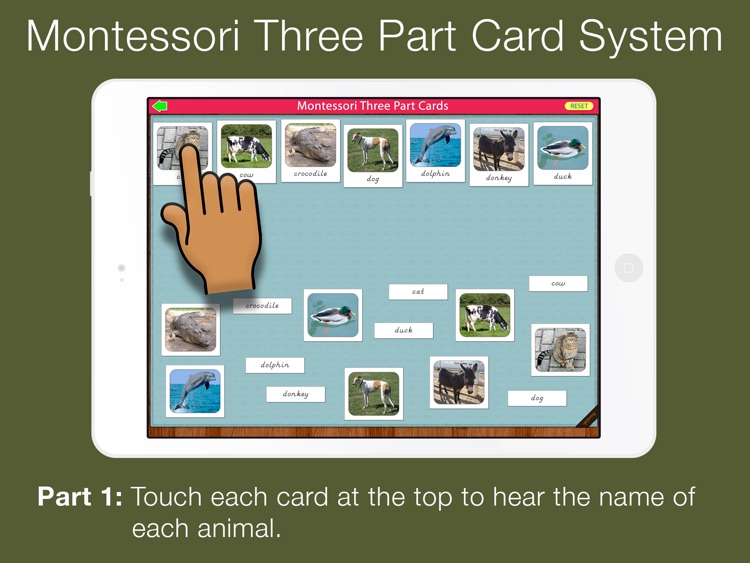 Montessori Three Part Cards