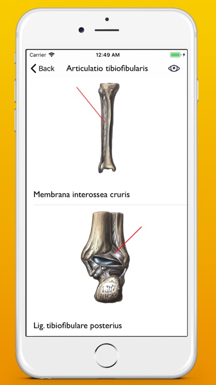 Atrhrology atlas app screenshot-6