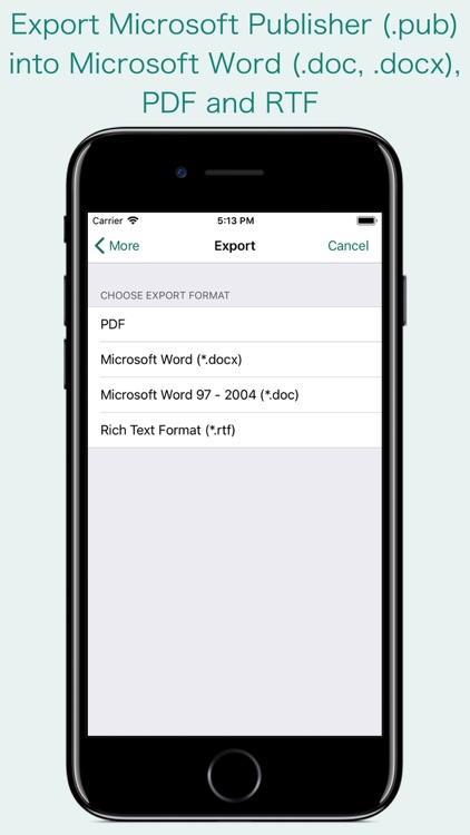 PUB Reader - for MS Publisher