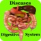 Digestive System Diseases