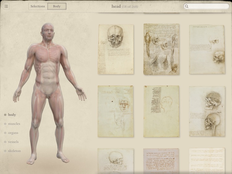Leonardo da Vinci: Anatomy