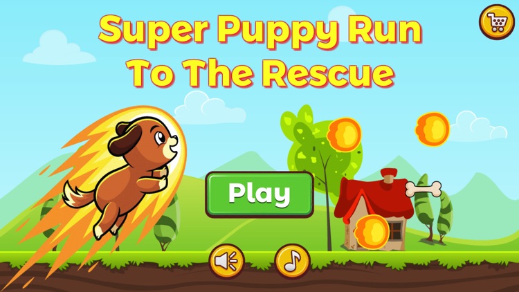 Super Puppy Run To The Rescue