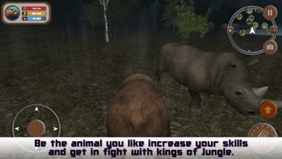 Wild Bear 3D Hunting Simulator screenshot 4