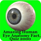 Human Eye Anatomy Fact,Quiz 2k