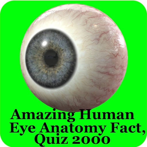 Human Eye Anatomy Fact,Quiz 2k iOS App