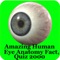 Human Eye Anatomy Fact,Quiz 2k