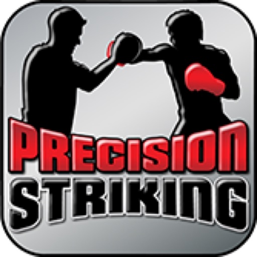 Precision Boxing Coach Lite