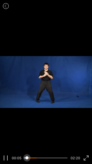 WingChun Kung Fu-咏春拳(圖4)-速報App