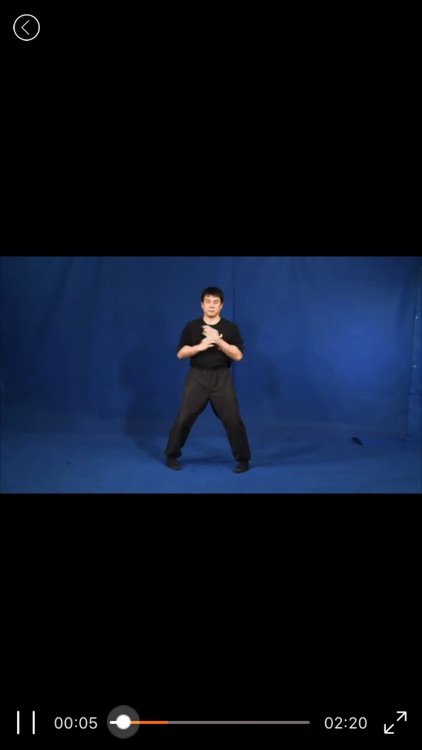 WingChun Kung Fu-咏春拳 screenshot-3