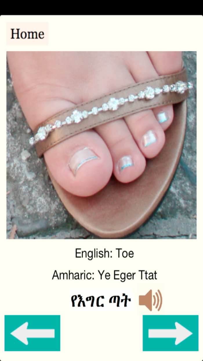 Amharic - Human Body