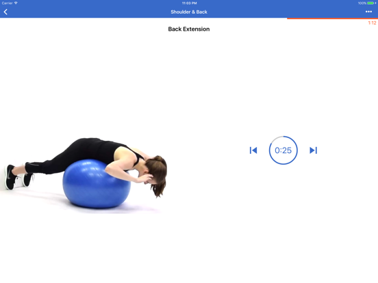Screenshot #4 pour Swiss Ball Stability Workouts