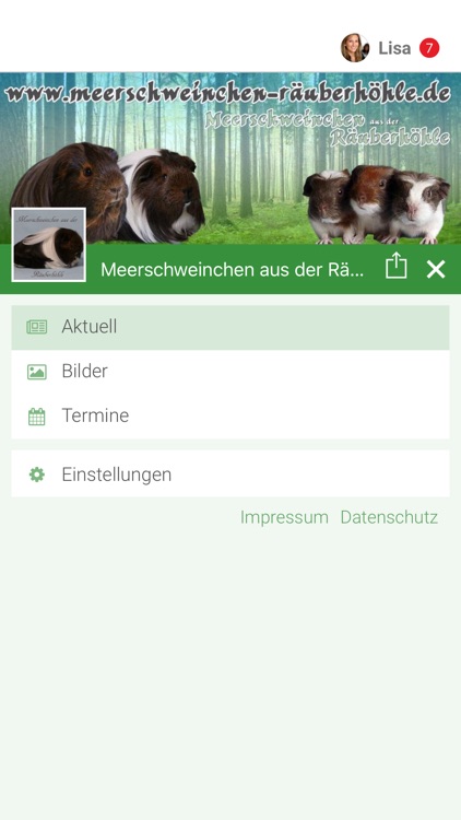 Meerschweinchen Räuberhöhle