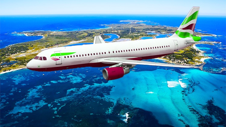 Airplane flight simulator 3