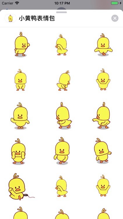 Little yellow duck