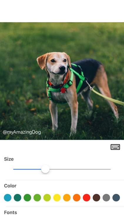 WM : Add Watermark to Your Photos