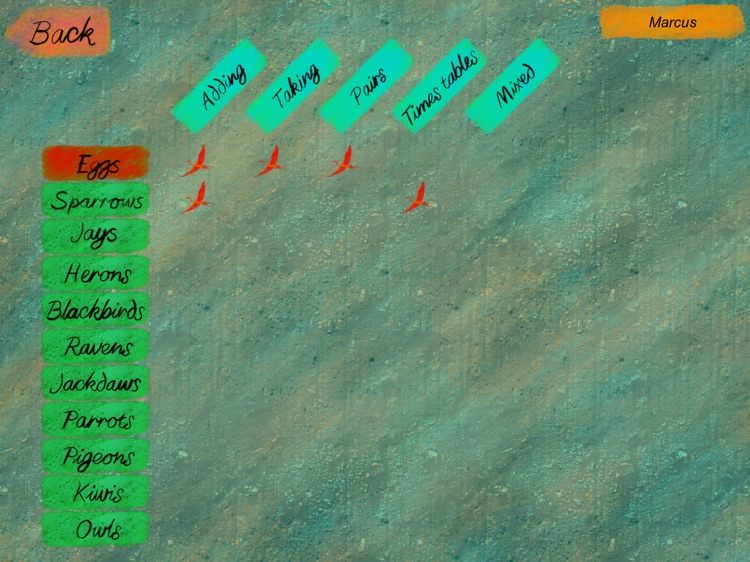 Birds Maths screenshot-4