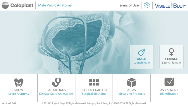 Pelvic Anatomy for Coloplast