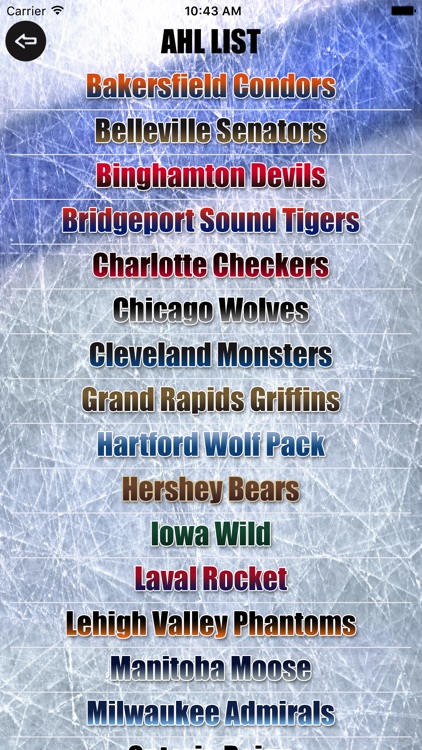 Hockey AM FM screenshot-3