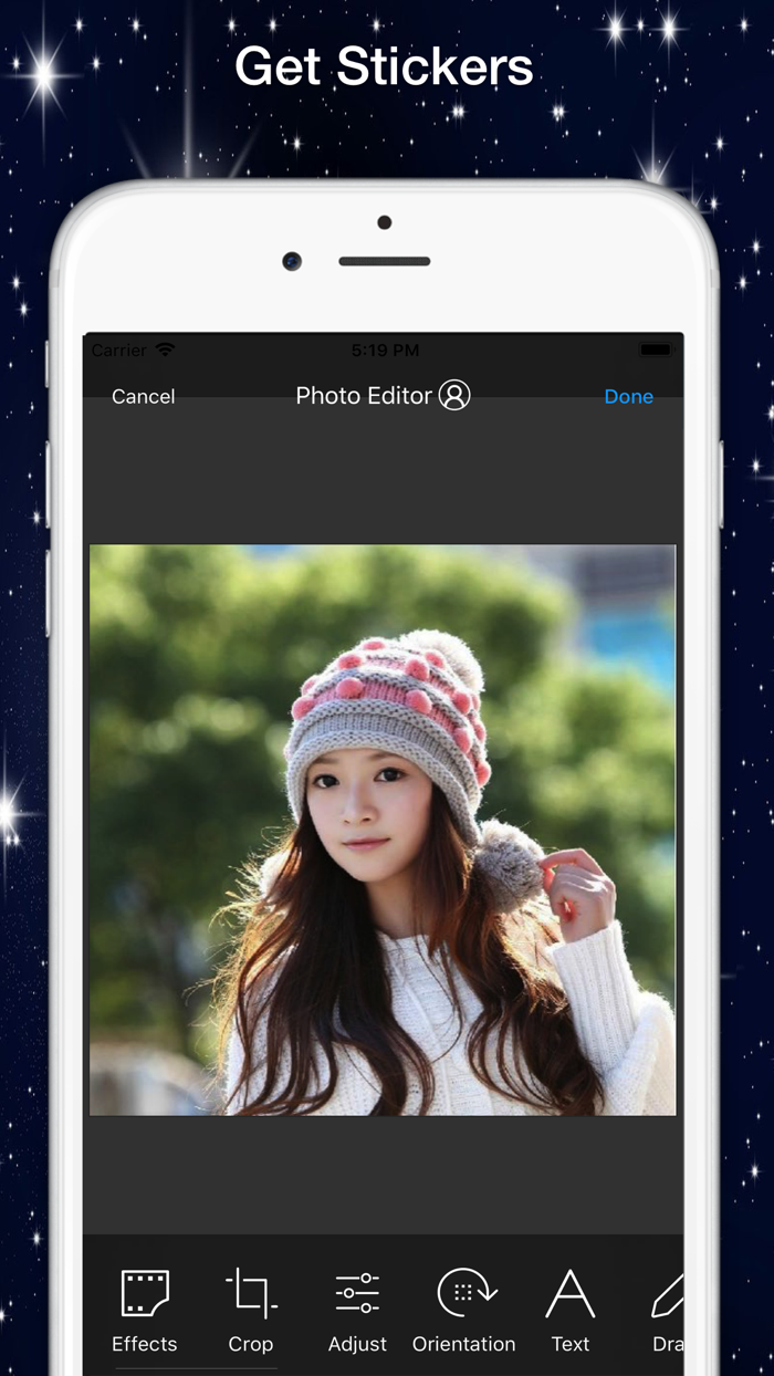 Festival Celebrations