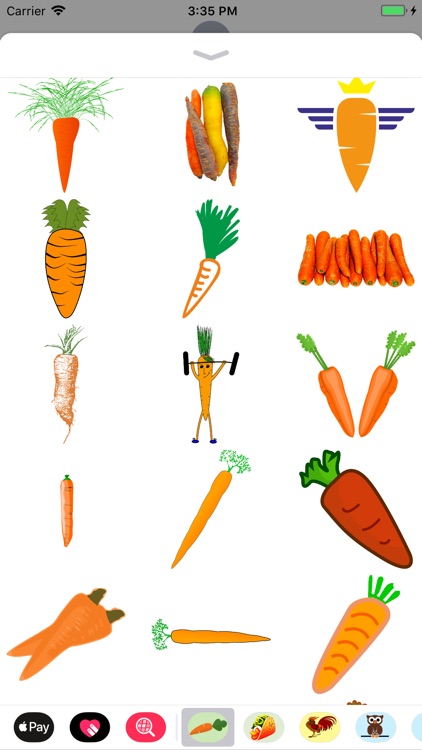 Crunchy Carrot Stickers