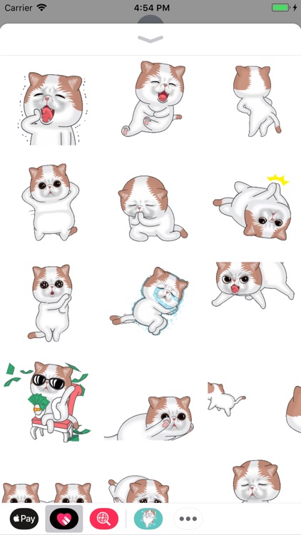 Hyper Cat Animated Stickers