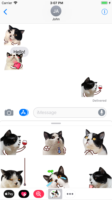 Katty Animated Stickers screenshot 3