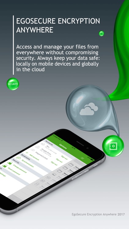 EgoSecure Encryption Anywhere