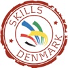 DM i Skills