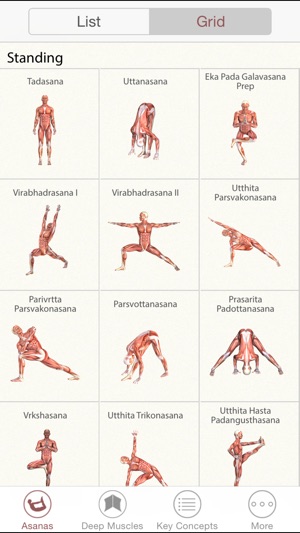 3D Yoga Anatomy Lite(圖4)-速報App