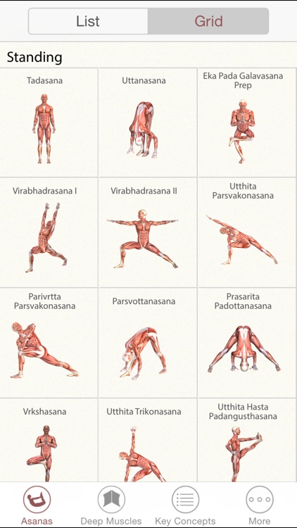 3D Yoga Anatomy Lite screenshot-3