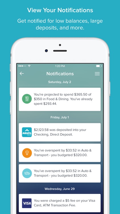 Money Insight by Azura CU screenshot-4