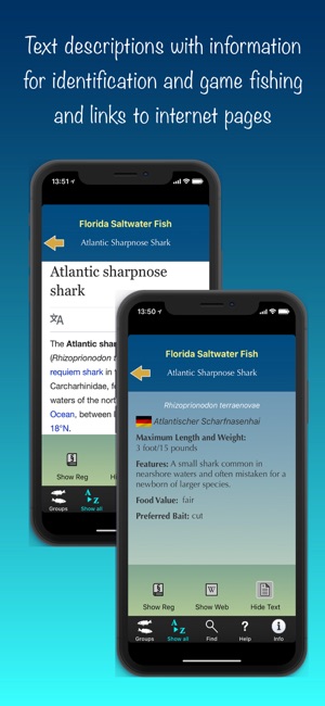 Florida Saltwater Fish(圖5)-速報App