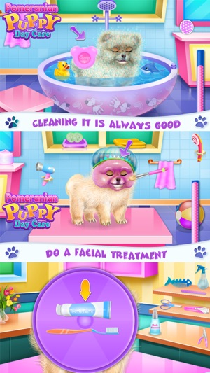 Pomeranian Puppy Day Care(圖2)-速報App