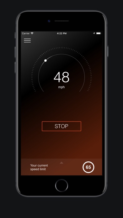 Speed.lol - Speedometer screenshot 3