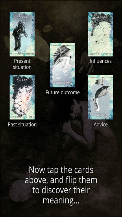 Sea Whispers Oracle Cards screenshot-4