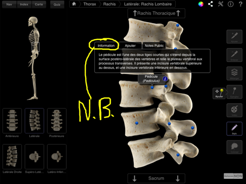 Skeleton System Pro III screenshot 2