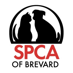 NBSPCA