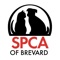 Mobile app for the SPCA of North Brevard