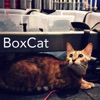 Box-Cat