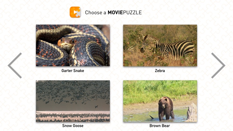 MoviePuzzles – Wild Animals screenshot-3